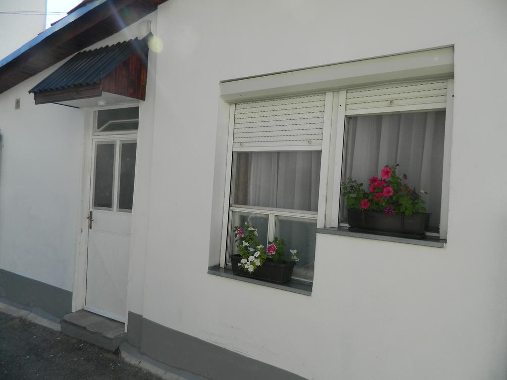 מוסטר Apartment Smarty מראה חיצוני תמונה